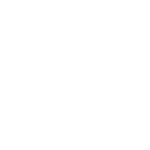 Logo_ARISTO копия