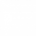 Logo_LEMAX копия