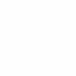 Logo_REJS копия